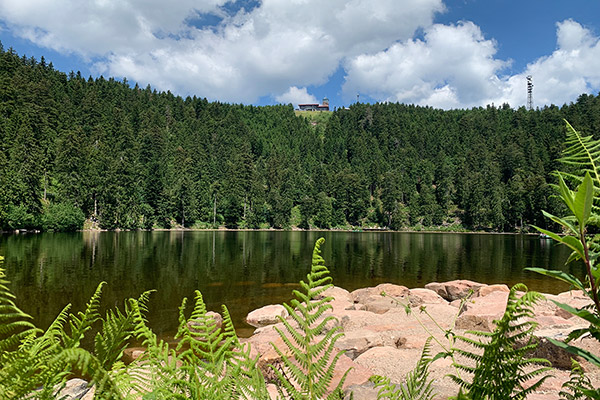 Der Mummelsee