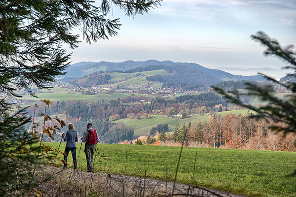 Wandertouren